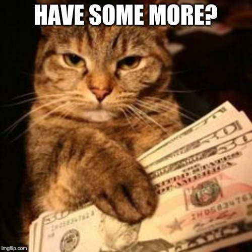 Gangster Cat | HAVE SOME MORE? | image tagged in gangster cat | made w/ Imgflip meme maker
