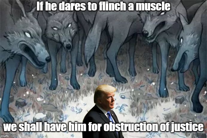 The Wolves of Obstruction | If he dares to flinch a muscle; we shall have him for obstruction of justice | image tagged in democrats,wolves,obstruction | made w/ Imgflip meme maker