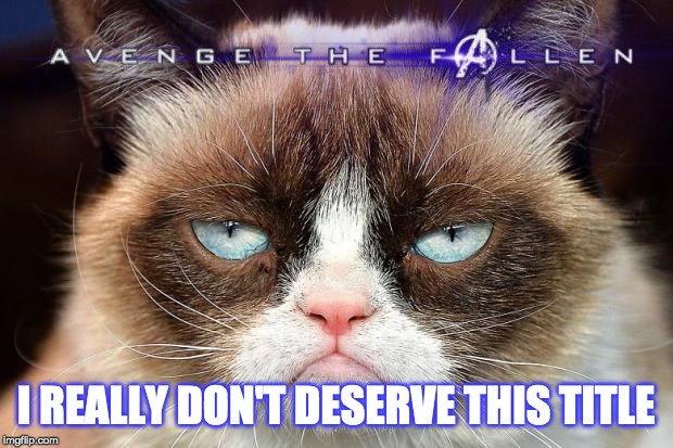 Not an Avenger | I REALLY DON'T DESERVE THIS TITLE | image tagged in grumpy cat not amused | made w/ Imgflip meme maker