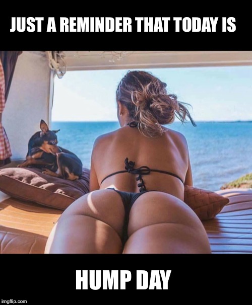 hump day butt