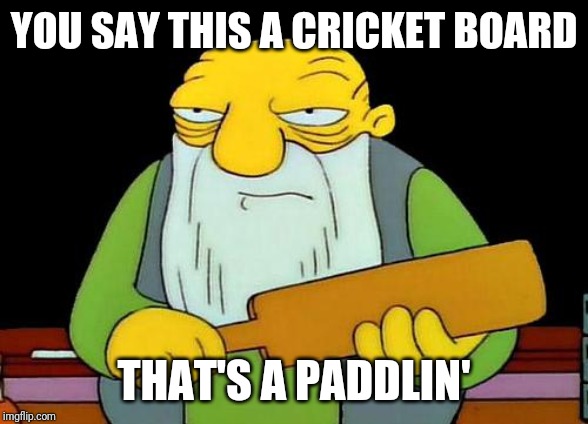 That's a paddlin' | YOU SAY THIS A CRICKET BOARD; THAT'S A PADDLIN' | image tagged in memes,that's a paddlin' | made w/ Imgflip meme maker