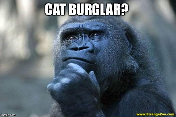 Deep Thoughts | CAT BURGLAR? | image tagged in deep thoughts | made w/ Imgflip meme maker