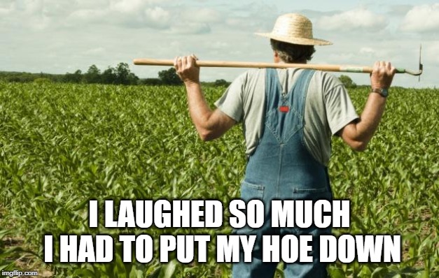 farmer | I LAUGHED SO MUCH I HAD TO PUT MY HOE DOWN | image tagged in farmer | made w/ Imgflip meme maker