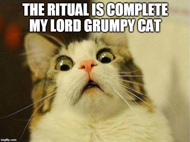 Scared Cat Meme | THE RITUAL IS COMPLETE MY LORD GRUMPY CAT | image tagged in memes,scared cat | made w/ Imgflip meme maker