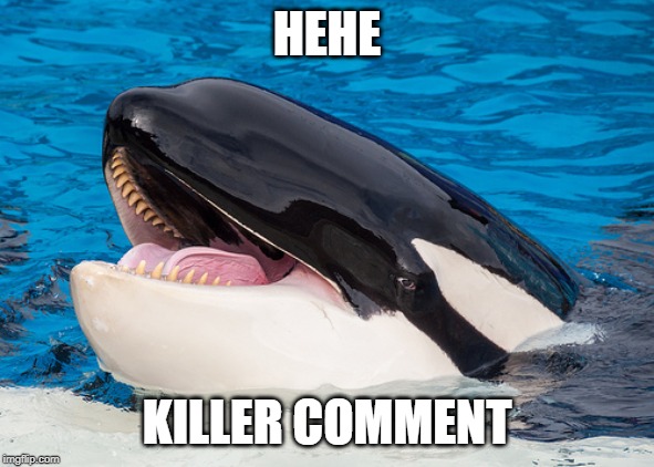 Hehehe orca | HEHE KILLER COMMENT | image tagged in hehehe orca | made w/ Imgflip meme maker