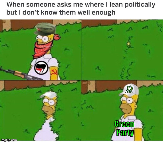 Green Party | image tagged in green party,watermelon | made w/ Imgflip meme maker