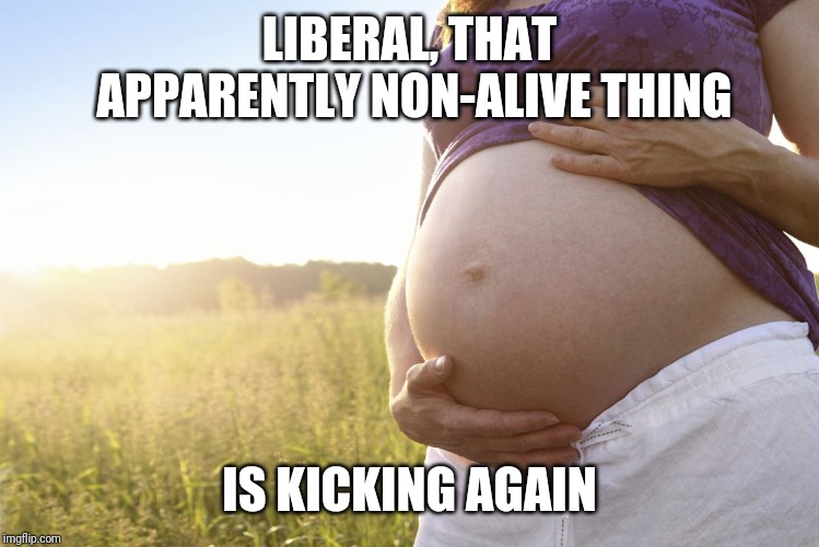 Pregnant Woman | LIBERAL, THAT APPARENTLY NON-ALIVE THING; IS KICKING AGAIN | image tagged in pregnant woman | made w/ Imgflip meme maker