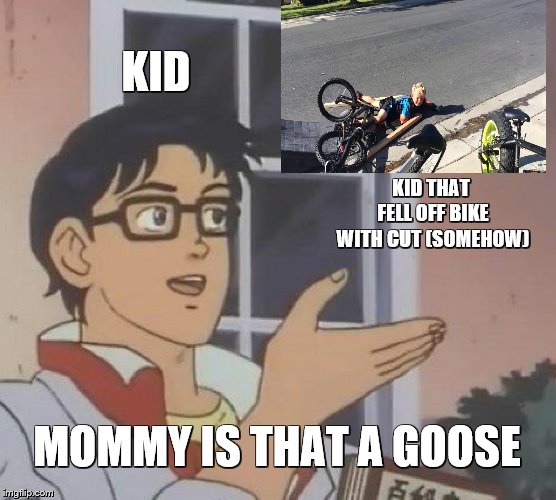 Is This A Pigeon | KID; KID THAT FELL OFF BIKE WITH CUT (SOMEHOW); MOMMY IS THAT A GOOSE | image tagged in memes,is this a pigeon | made w/ Imgflip meme maker
