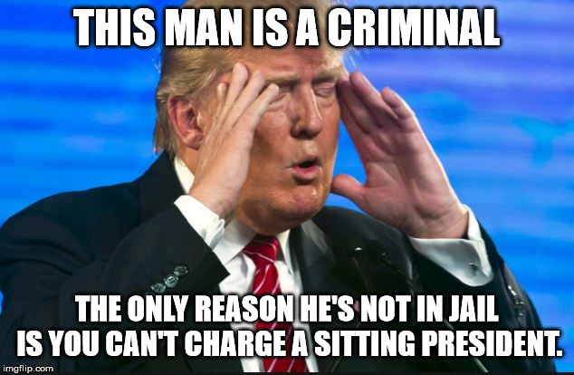 Trump - Sad, so sad | THIS MAN IS A CRIMINAL; THE ONLY REASON HE'S NOT IN JAIL IS YOU CAN'T CHARGE A SITTING PRESIDENT. | image tagged in trump - sad so sad | made w/ Imgflip meme maker