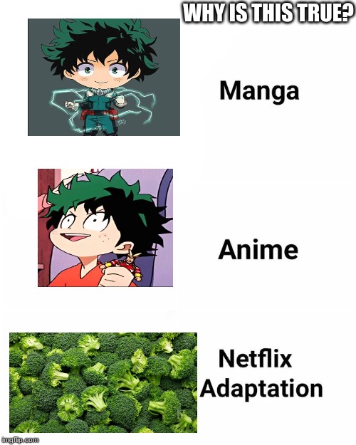 Netflix adaptation | WHY IS THIS TRUE? | image tagged in netflix adaptation | made w/ Imgflip meme maker