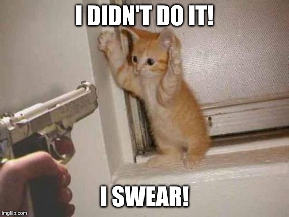 cat robbery | I DIDN'T DO IT! I SWEAR! | image tagged in cat robbery | made w/ Imgflip meme maker