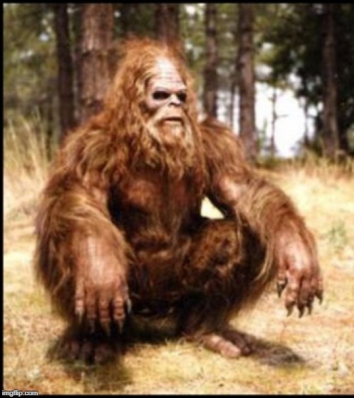 sasquatch squat | image tagged in sasquatch squat | made w/ Imgflip meme maker