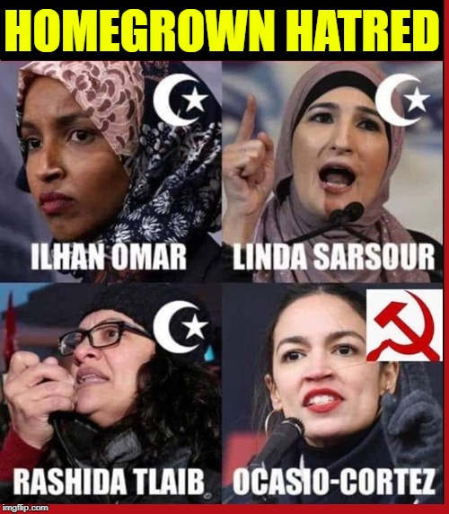 Terror has a New Face in America | HOMEGROWN HATRED | image tagged in vince vance,rashida tlaib,alexandria ocasio-cortez,linda sarsour,ilhan omar,homegrown terrorists | made w/ Imgflip meme maker