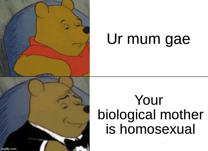 Tuxedo Winnie The Pooh | Ur mum gae; Your biological mother is homosexual | image tagged in memes,tuxedo winnie the pooh | made w/ Imgflip meme maker