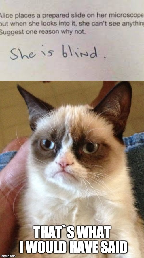 Sometimes the problem is you | THAT`S WHAT I WOULD HAVE SAID | image tagged in memes,grumpy cat,answer | made w/ Imgflip meme maker