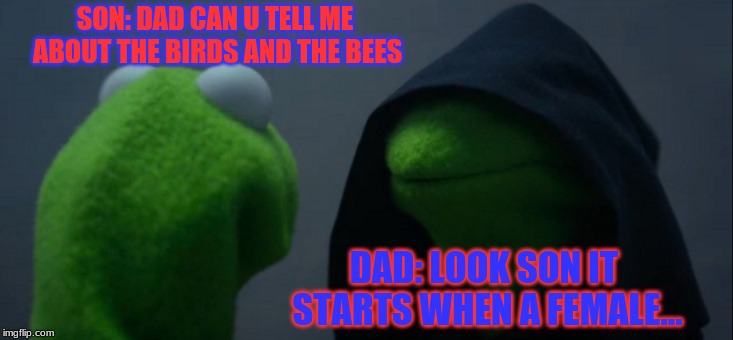 Evil Kermit Meme | SON: DAD CAN U TELL ME ABOUT THE BIRDS AND THE BEES; DAD: LOOK SON IT STARTS WHEN A FEMALE... | image tagged in memes,evil kermit | made w/ Imgflip meme maker