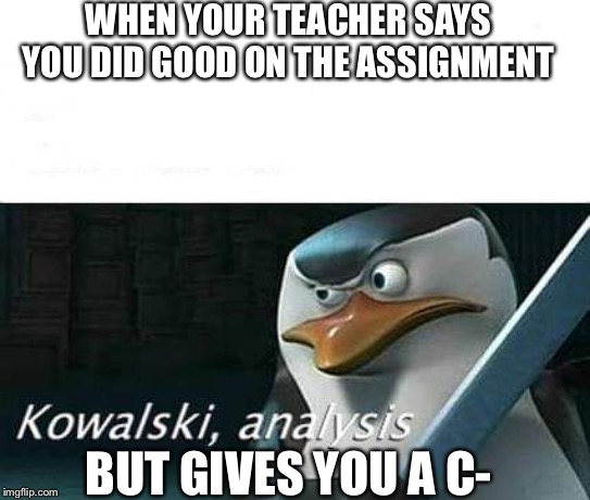 kowalski, analysis | WHEN YOUR TEACHER SAYS YOU DID GOOD ON THE ASSIGNMENT; BUT GIVES YOU A C- | image tagged in kowalski analysis | made w/ Imgflip meme maker
