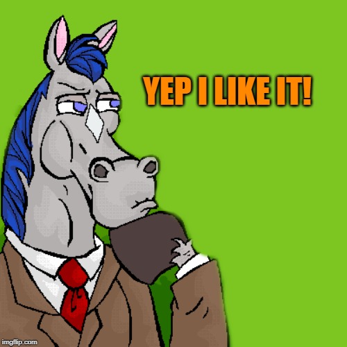 horse | YEP I LIKE IT! | image tagged in horse | made w/ Imgflip meme maker