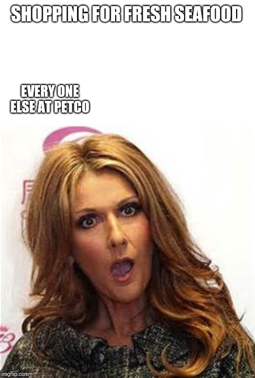 celine dion  | SHOPPING FOR FRESH SEAFOOD; EVERY ONE ELSE AT PETCO | image tagged in celine dion | made w/ Imgflip meme maker