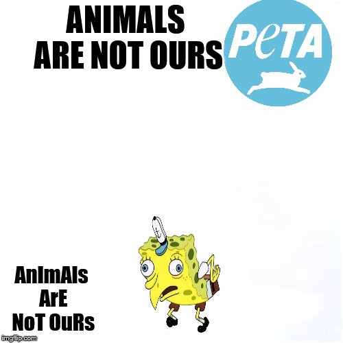 ANIMALS ARE NOT OURS; AnImAls ArE NoT OuRs | image tagged in moking spongbob,peta | made w/ Imgflip meme maker