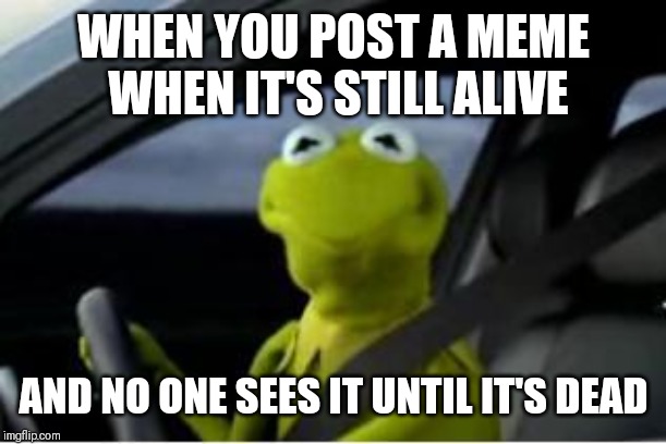 Kermit the frog | WHEN YOU POST A MEME WHEN IT'S STILL ALIVE; AND NO ONE SEES IT UNTIL IT'S DEAD | image tagged in kermit the frog | made w/ Imgflip meme maker