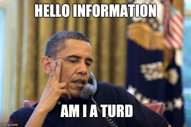No I Can't Obama Meme | HELLO INFORMATION AM I A TURD | image tagged in memes,no i cant obama | made w/ Imgflip meme maker