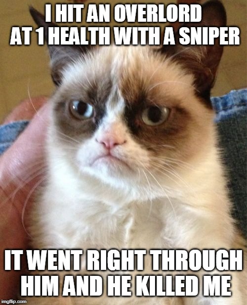 Grumpy Cat Meme | I HIT AN OVERLORD AT 1 HEALTH WITH A SNIPER; IT WENT RIGHT THROUGH HIM AND HE KILLED ME | image tagged in memes,grumpy cat | made w/ Imgflip meme maker