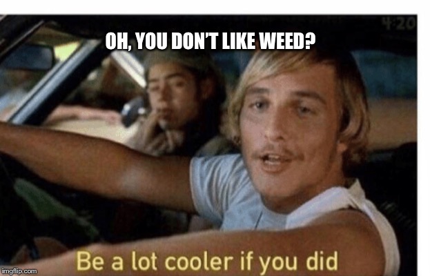 Cool guyz | OH, YOU DON’T LIKE WEED? | image tagged in weed,pot,marijuana,funny memes | made w/ Imgflip meme maker