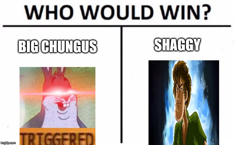 Who Would Win? | SHAGGY; BIG CHUNGUS | image tagged in memes,who would win | made w/ Imgflip meme maker