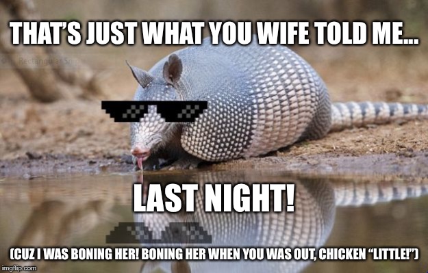 "The sky is falling, the sky is falling" | THAT’S JUST WHAT YOU WIFE TOLD ME... LAST NIGHT! (CUZ I WAS BONING HER! BONING HER WHEN YOU WAS OUT, CHICKEN “LITTLE!”) | image tagged in armadillothug | made w/ Imgflip meme maker