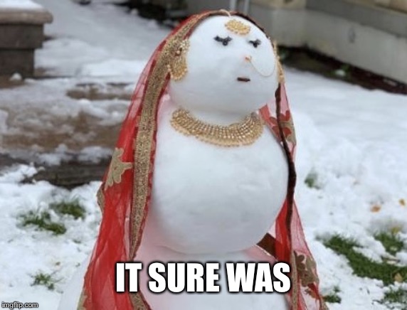 Brampton Snow Woman | IT SURE WAS | image tagged in brampton snow woman | made w/ Imgflip meme maker