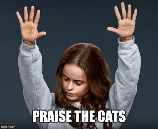 Praise the lord | PRAISE THE CATS | image tagged in praise the lord | made w/ Imgflip meme maker