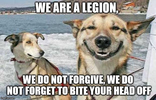Original Stoner Dog | WE ARE A LEGION, WE DO NOT FORGIVE, WE DO NOT FORGET TO BITE YOUR HEAD OFF | image tagged in memes,original stoner dog | made w/ Imgflip meme maker