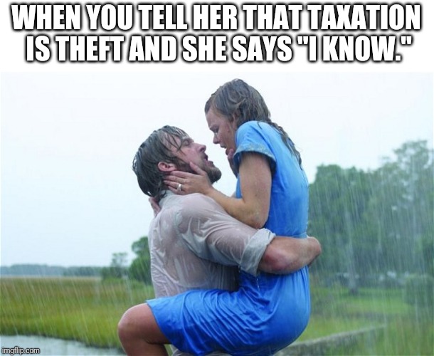 Notebook | WHEN YOU TELL HER THAT TAXATION IS THEFT AND SHE SAYS "I KNOW." | image tagged in notebook | made w/ Imgflip meme maker