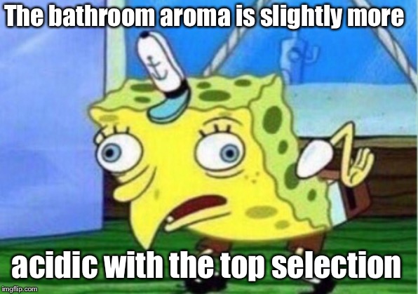Mocking Spongebob Meme | The bathroom aroma is slightly more acidic with the top selection | image tagged in memes,mocking spongebob | made w/ Imgflip meme maker