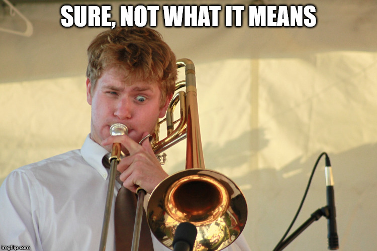 trombone1 | SURE, NOT WHAT IT MEANS | image tagged in trombone1 | made w/ Imgflip meme maker