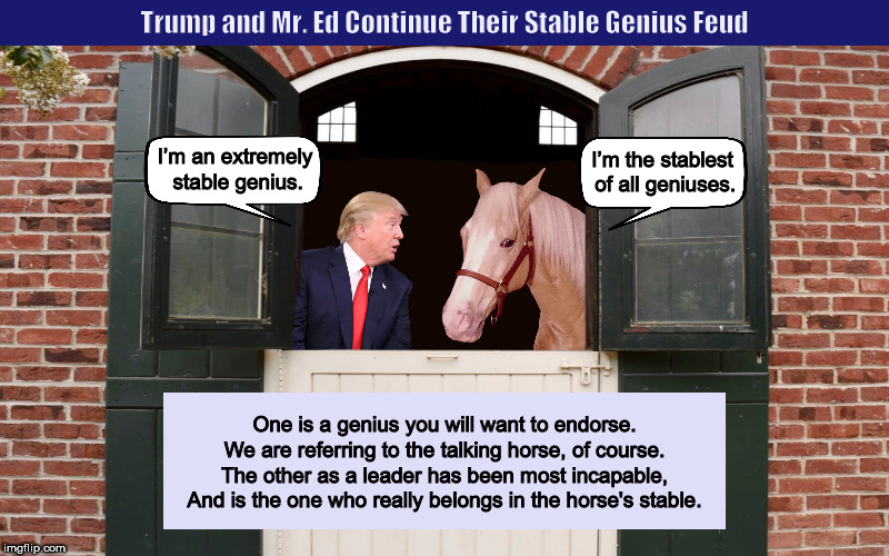 Trump and Mr. Ed Continue Their Stable Genius Feud | image tagged in donald trump,trump,mr ed,stable genius,funny,memes,PoliticalHumor | made w/ Imgflip meme maker