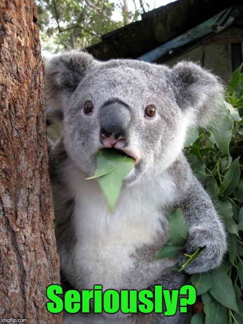 Surprised Koala Meme | Seriously? | image tagged in memes,surprised koala | made w/ Imgflip meme maker