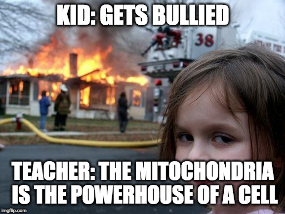 Disaster Girl | KID: GETS BULLIED; TEACHER: THE MITOCHONDRIA IS THE POWERHOUSE OF A CELL | image tagged in memes,disaster girl | made w/ Imgflip meme maker