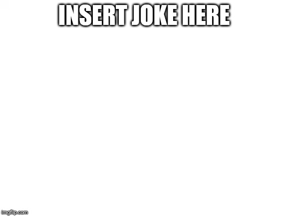 Blank White Template | INSERT JOKE HERE | image tagged in blank white template | made w/ Imgflip meme maker