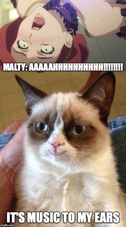 Grumpy Cat smiles at Malty's Demise | MALTY: AAAAAHHHHHHHHHH!!!!!!!! IT'S MUSIC TO MY EARS | image tagged in smiling grumpy cat,grumpy cat,satisfying,rising of the shield hero,anime meme,cat memes | made w/ Imgflip meme maker