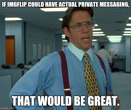 I can't see why we shouldn't have it. | IF IMGFLIP COULD HAVE ACTUAL PRIVATE MESSAGING, THAT WOULD BE GREAT. | image tagged in memes,that would be great,private,message,imgflip | made w/ Imgflip meme maker