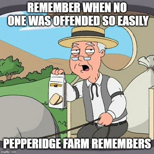 There Was a Time... | REMEMBER WHEN NO ONE WAS OFFENDED SO EASILY; PEPPERIDGE FARM REMEMBERS | image tagged in memes,pepperidge farm remembers | made w/ Imgflip meme maker