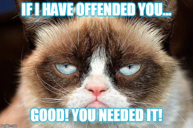 If I have offended you... | IF I HAVE OFFENDED YOU... GOOD! YOU NEEDED IT! | image tagged in memes,grumpy cat not amused,grumpy cat,offended | made w/ Imgflip meme maker