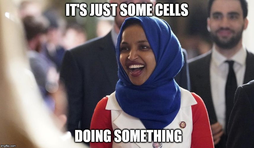 Rep. Ilhan Omar | IT'S JUST SOME CELLS DOING SOMETHING | image tagged in rep ilhan omar | made w/ Imgflip meme maker