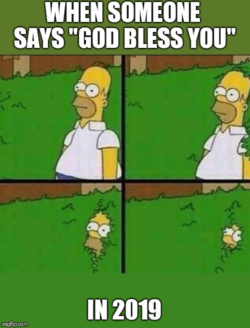 Homer Simpson in Bush - Large | WHEN SOMEONE SAYS "GOD BLESS YOU"; IN 2019 | image tagged in homer simpson in bush - large | made w/ Imgflip meme maker