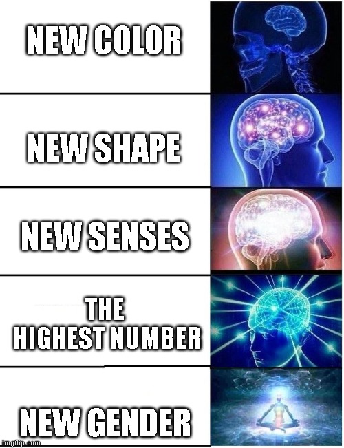 Expanding Brain 5 Panel | NEW COLOR; NEW SHAPE; NEW SENSES; THE HIGHEST NUMBER; NEW GENDER | image tagged in expanding brain 5 panel | made w/ Imgflip meme maker