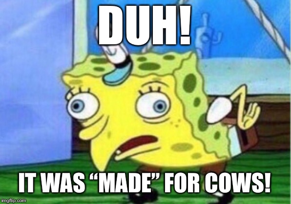 Mocking Spongebob Meme | DUH! IT WAS “MADE” FOR COWS! | image tagged in memes,mocking spongebob | made w/ Imgflip meme maker