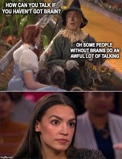 Straw Politician | HOW CAN YOU TALK IF YOU HAVEN’T GOT BRAIN? OH SOME PEOPLE WITHOUT BRAINS DO AN AWFUL LOT OF TALKING | image tagged in wizard of oz,strawman,dorothy,aoc,brains | made w/ Imgflip meme maker