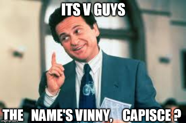 SCuse me guys, but the name's  Vinny  " UNDERSTOOD" | ITS V GUYS; THE   NAME'S VINNY,    CAPISCE ? | image tagged in vinny,capisce,guys,v,name,question | made w/ Imgflip meme maker